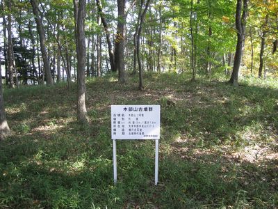 遺跡の森総合公園 木部山古墳群 2号墳