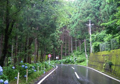 国道299号 志賀坂峠東
