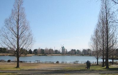 松伏総合公園の池と展望風車