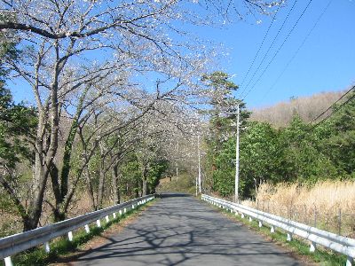 美の山観光道路 南側