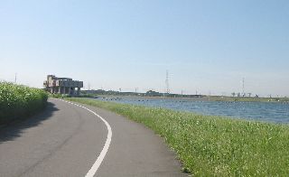 彩湖畔 自転車道