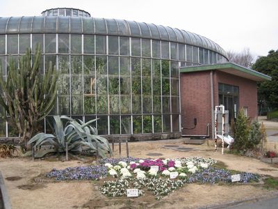 さいたま市 市民の森・見沼グリーンセンター 展示温室