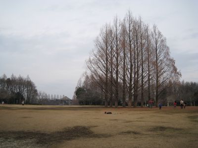 さいたま市 市民の森 広場