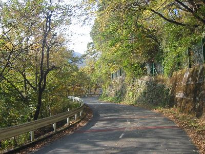 正丸峠越えの道