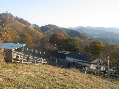 登谷高原牧場