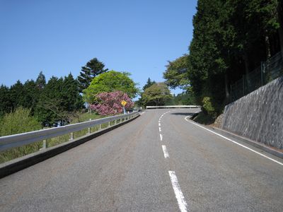 比叡山ドライブウェイ 山頂への支線