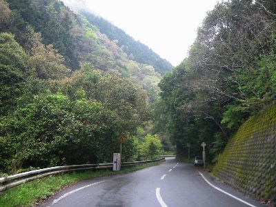 国道442号 大石富川