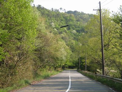 湖東広域農道・荒神山通り 彦根市三津屋町