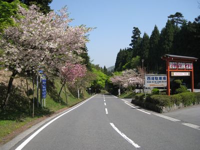 奥比叡ドライブウェイ 西塔付近