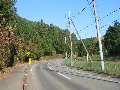 静岡県道337号仙石原新田線 下の方
