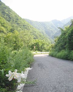 静岡県道60号 南アルプス公園線 井川〜畑薙湖