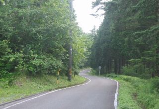 林道勘行峰線 県民の森センター付近