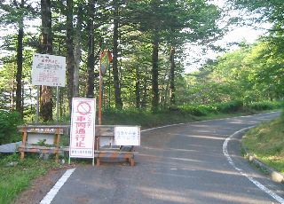 林道勘行峰線 県民の森キャンプ場