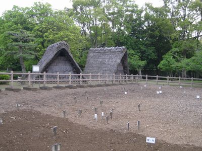 蜆塚遺跡公園 貝塚と復元住居