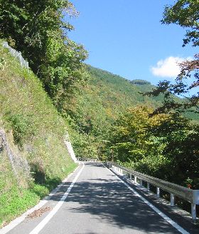 湯之奥猪之頭林道 山梨県側