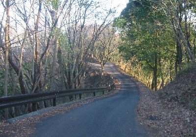 qRւ̓