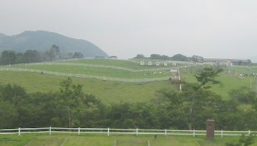 大笹牧場 こやぎの丘