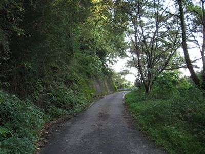 林道長石線 足利市松田町