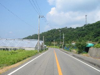 徳島県道139号船戸切幡上板線 土成