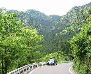 徳島県道32号山城東祖谷山線 祖谷口〜出合