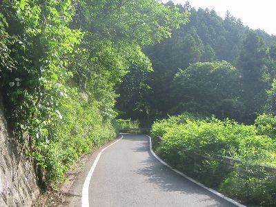 神奈川県道522号棡原藤野線・陣馬街道 相模原市藤野町佐野川 和田峠西側