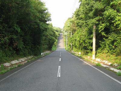 大山広域農道 大山町小竹
