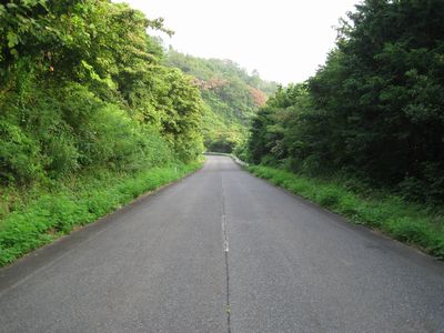 気高広域農道 青谷町蔵内