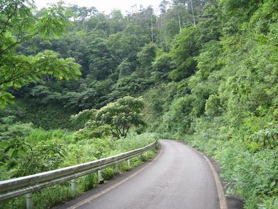 下野赤波林道 鳥取市用瀬町赤波