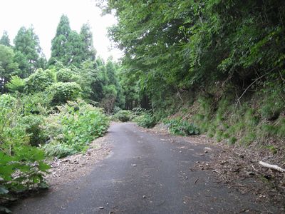 八頭中央林道 鳥取市用瀬町赤波