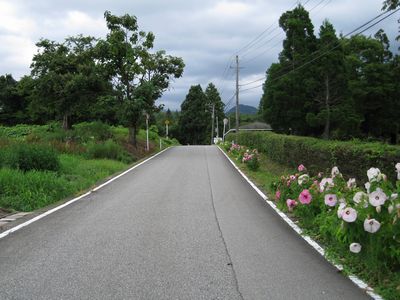 富山県道335号滑川自然公園線 フラワーロード 滑川市東福寺野