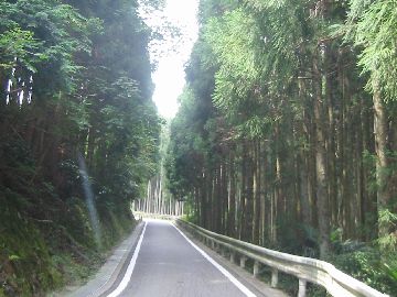 和歌山県道184号 生石高原線 1車線区間