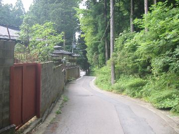 国道371号 高野