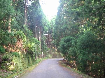 大越林道