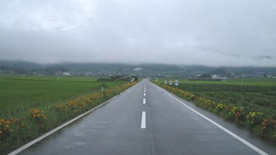 紅花資料館への道
