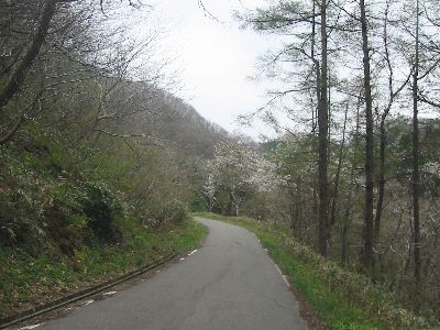 国道345号 鶴岡市小名部