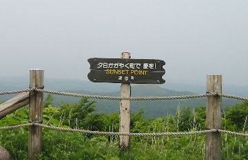 大平