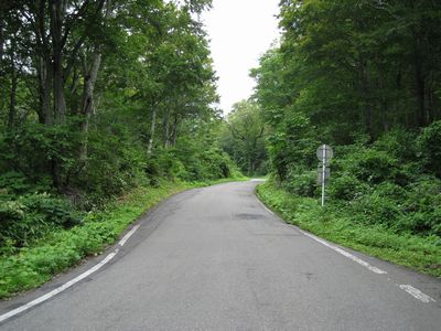 湯殿山有料道路