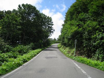 湯殿山有料道路