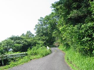 太崋山ドライブウェイ 登山道