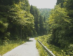 県道31号 甲府山梨線 古そうな1車線区間