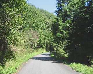 南高尾山林道