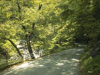 昇仙峡ライン 荒川沿い