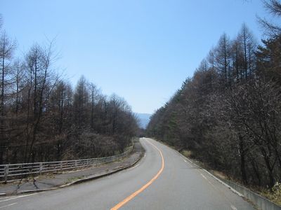 八ヶ岳高原ライン